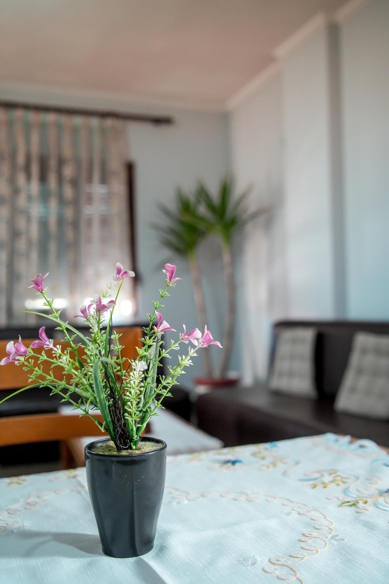 Appartement Gega's